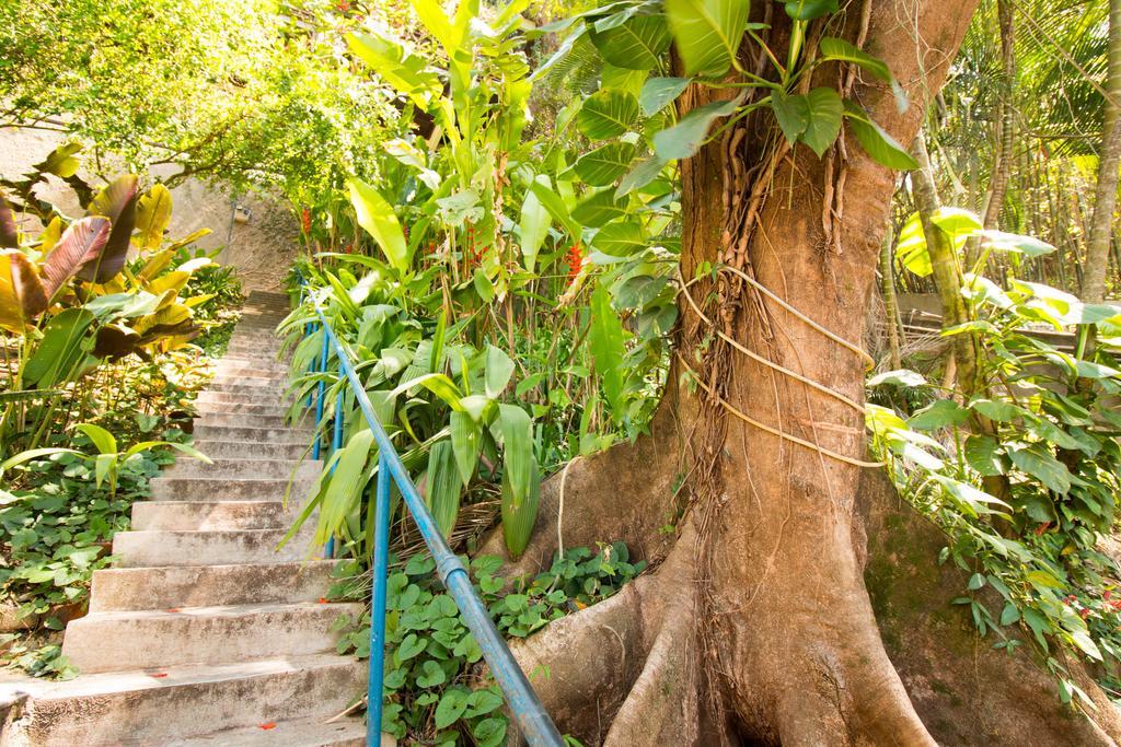 Rio Nature Hostel Rio de Janeiro Exterior photo